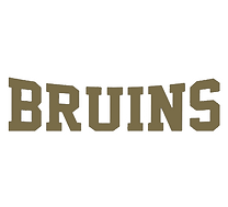 bruins g.png